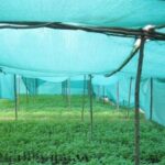 Shade Nets Dealers in Bangalore